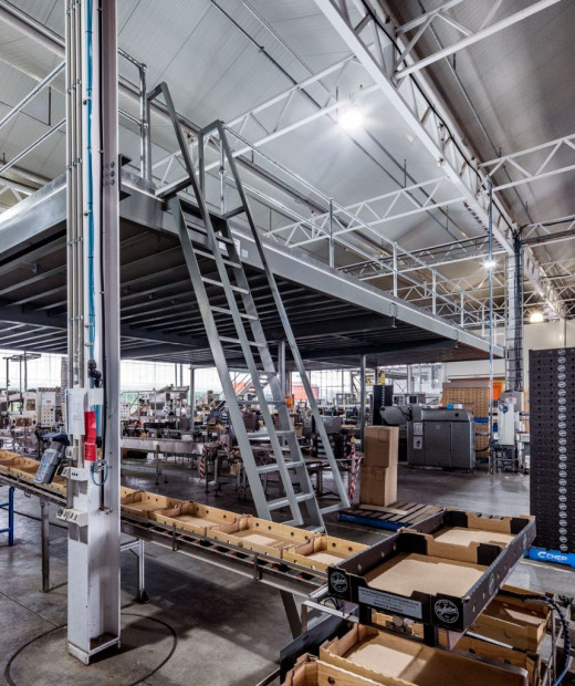 Expert Advice: How to Plan a High-Performing Sortation System for Your Warehouse